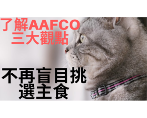 AAFCO標準很重要?三大觀點清楚了解｜犬貓飲食