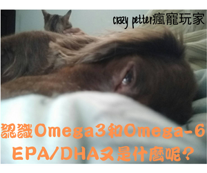 飽和/不飽和脂肪酸是什麼?EPA/DHA、omega3/6到底如何區分?犬貓飲食