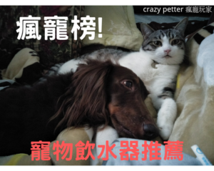 【2021瘋寵榜】犬貓十一大寵物流動/電動飲水器推薦｜精華版
