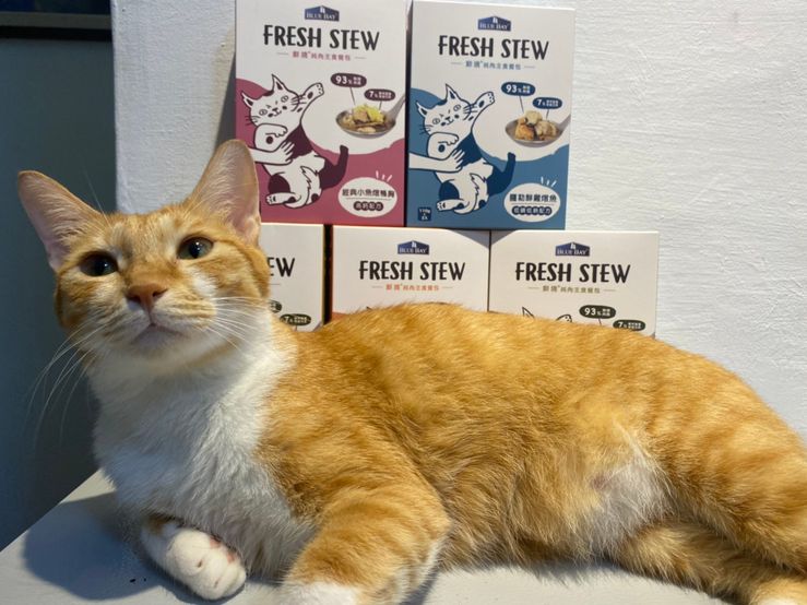 【瘋評比】倍力Fresh stew鮮境純肉貓咪主食餐包｜五貓試吃客觀評價
