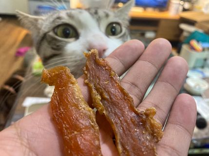 貓咪薄片零食