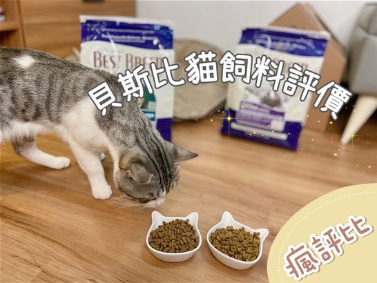 【瘋評比】貝斯比貓飼料推薦｜重視原料及生產方式，五貓試吃評價