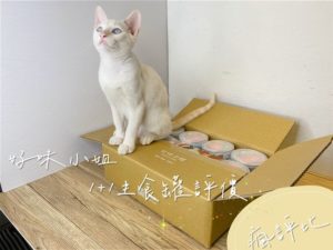 【瘋評比】好味小姐1+1貓主食罐推薦｜五貓開箱試吃評價！