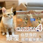 【瘋評比】Carna4卡娜芙貓飼料｜五貓試吃評價！酥脆的口感