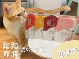 【瘋評比】踏踏寵膳貓主食餐包開箱｜五貓試吃評價