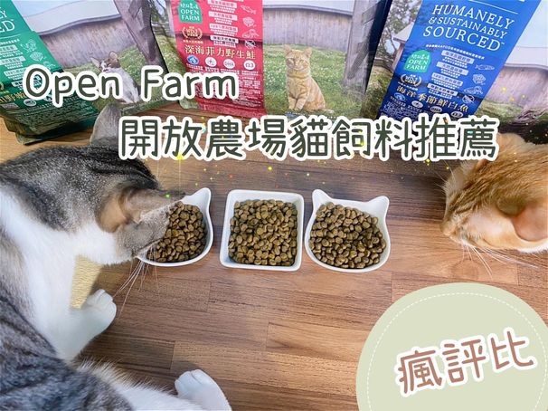 【瘋評比】OPEN FARM開放農場貓飼料｜五貓試吃評價