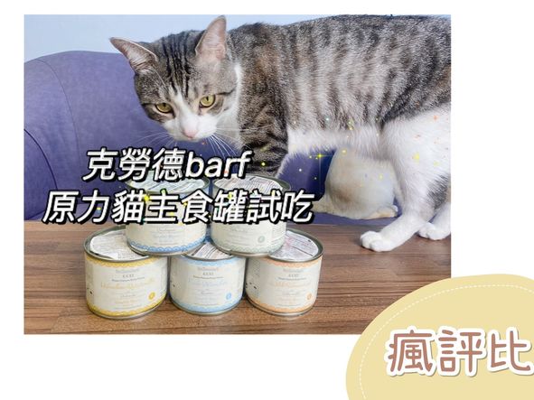 【瘋評比】Dr.克勞德原力貓主食罐開箱｜五貓試吃評價