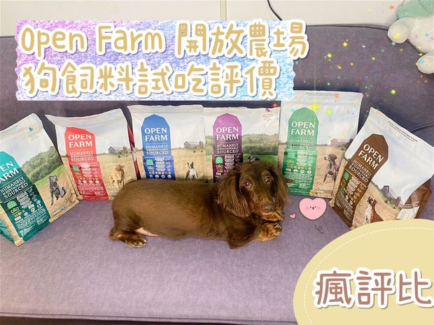 【瘋評比】OPEN FARM開放農場狗飼料｜賓狗客觀試吃評價