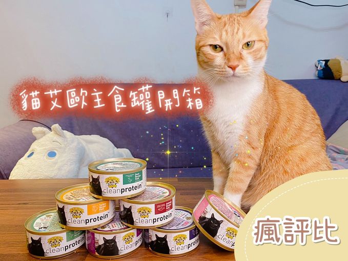 貓艾歐主食罐開箱｜五貓試吃評價【瘋評比】