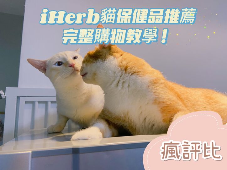 iHerb貓保健營養品推薦