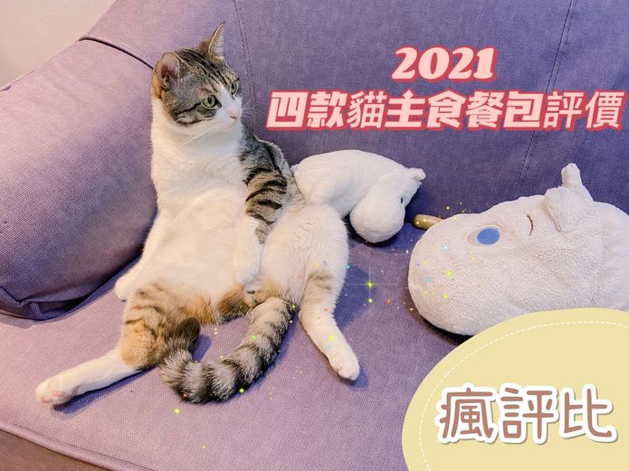 【2021貓主食餐包】四款貓主食餐包推薦評比-教你挑選貓餐包！
