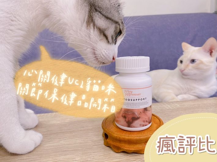 禧鉫-心關健UC2貓咪關節保健品｜五貓試吃評價【瘋評比】