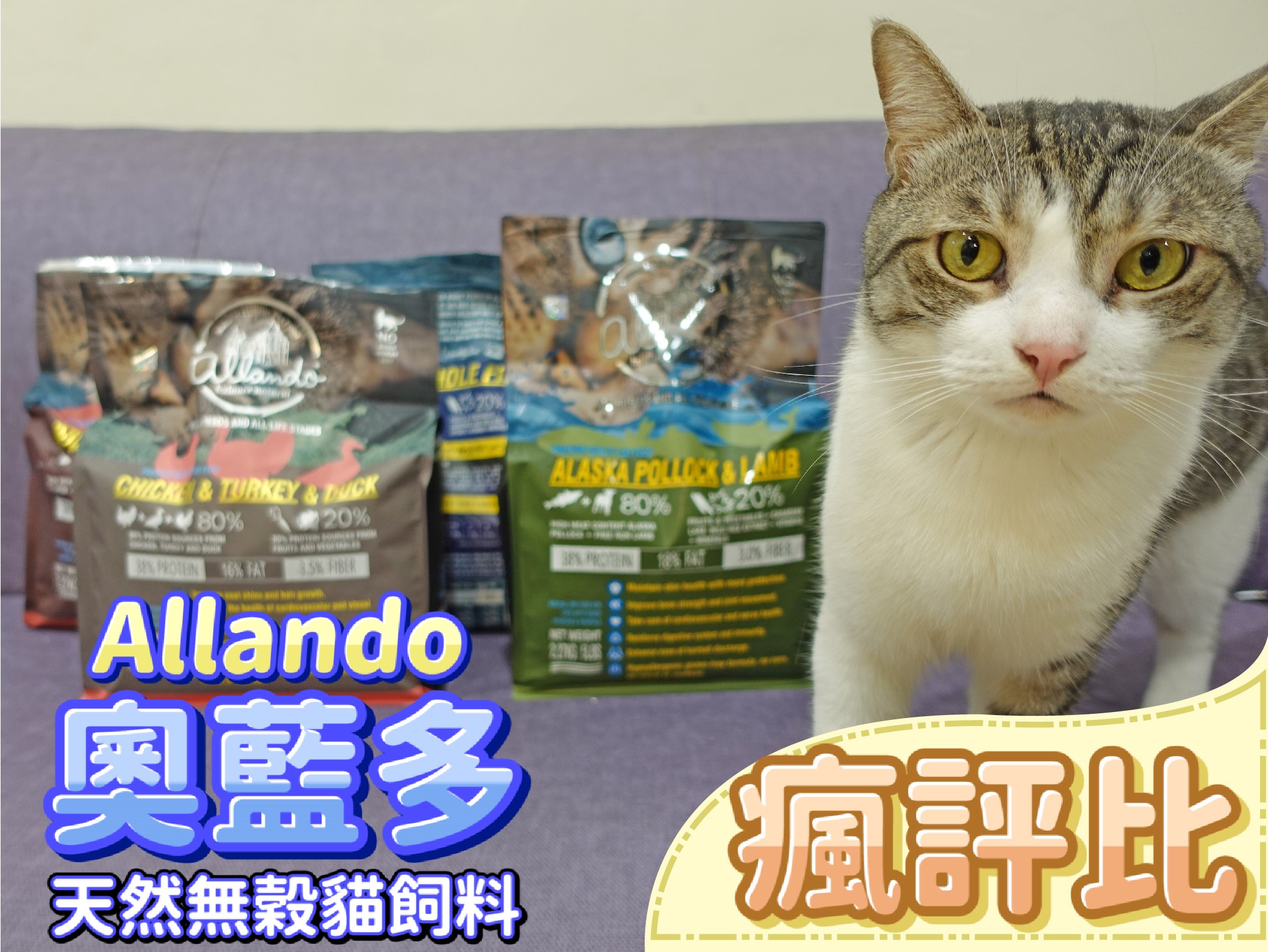 奧藍多無穀貓飼料開箱評價-適口性很高的選擇｜【貓食研究院-飼料篇05】