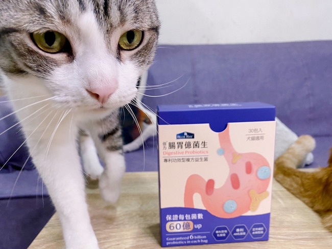 貓腸胃益菌生