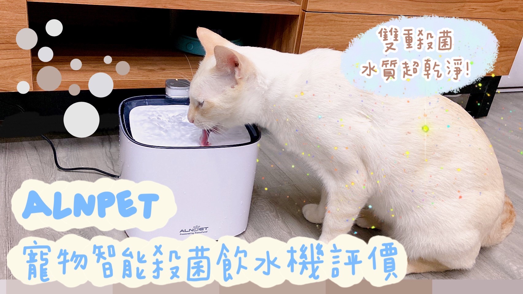 ALNPET寵物智能殺菌飲水機評價，二代更升級！馬達好清洗！PettoFund寵物飲水機