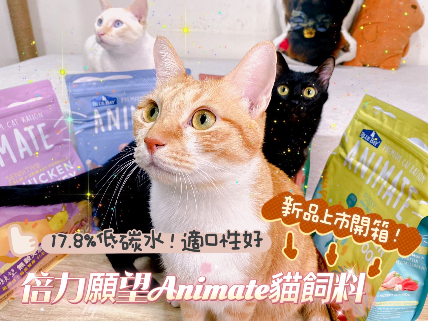 【全新上市！倍力17.8%低碳水貓飼料】願望Animate貓飼料開箱評價！