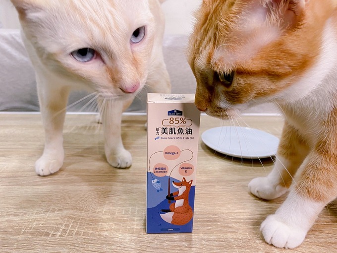 貓咪魚油推薦