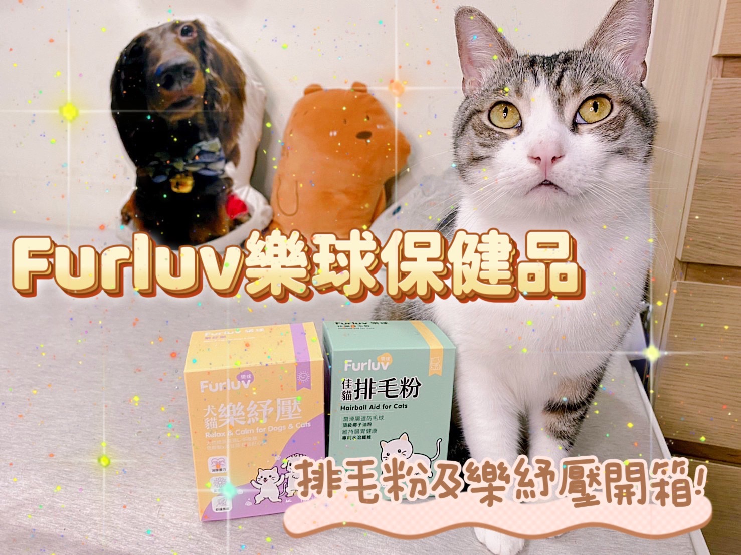 Furluv樂球保健品評價！犬貓情緒保健「樂紓壓」及「排毛粉」試吃心得！成分天然，適口性極佳！