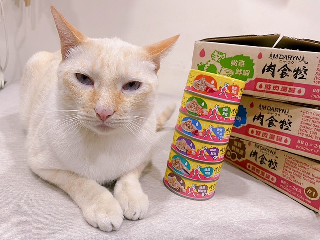 【喵樂】肉食控鮮肉湯罐開箱評價!好吃的貓咪副食罐，六種口味多重滿足!