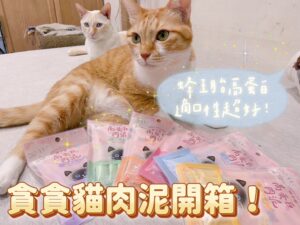 貪貪蜂王胎高蛋白肉泥開箱評價！適口性超棒的台灣貓肉泥品牌來啦！