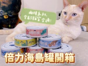 倍力海島主食罐貓罐頭新上市！幼貓全齡貓罐頭都有，看這包裝二話不說我直接買